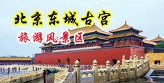 肛交视频国产美女中国北京-东城古宫旅游风景区